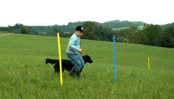 12 Aufgabe mit Jürgen Schäfer