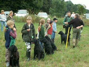 14  Super gemacht, 18 Punkte bekommen
