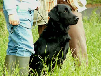 16 Despina ist sehr konzentriert ...und sucht mich