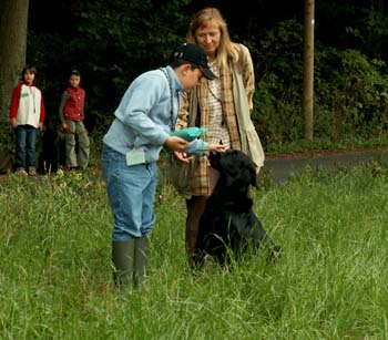 24 Brav, super gemacht