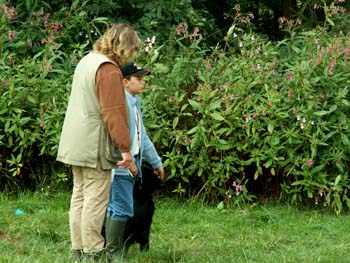 35  das Blind wurde gerade hingelegt