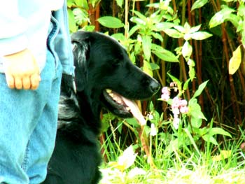 39 sogar besser als bei der Chefin...