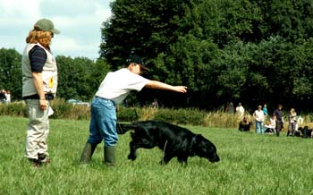 42 der Hund holt die erste Markierung