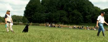 47 HF holt zweite Dummy...