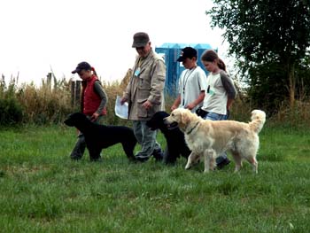 52 zu dritt ist es schon schwer