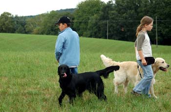 56 the show must go on