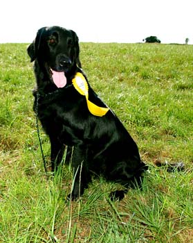 59 Herzlichen Glückwunsch