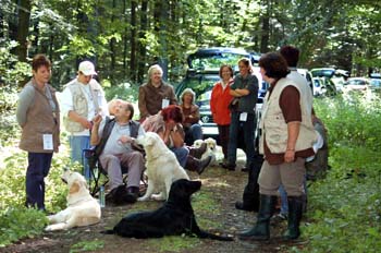 a- Dummy A    gleich geht's los