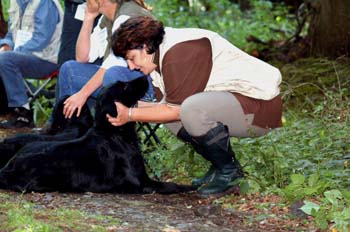 b- Dummy A    Wir schaffen es..