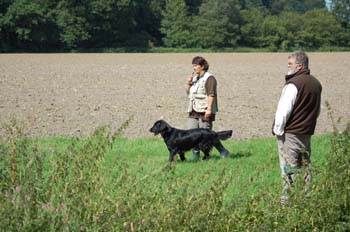 f- Dummy A    nicht einspringen