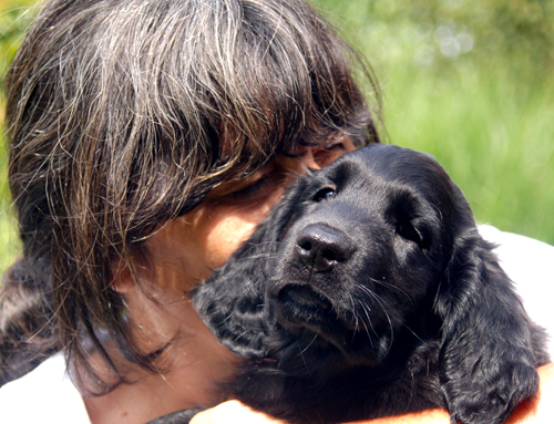 glückwünsche geburtstag standard geburtstagsspruch cowboy